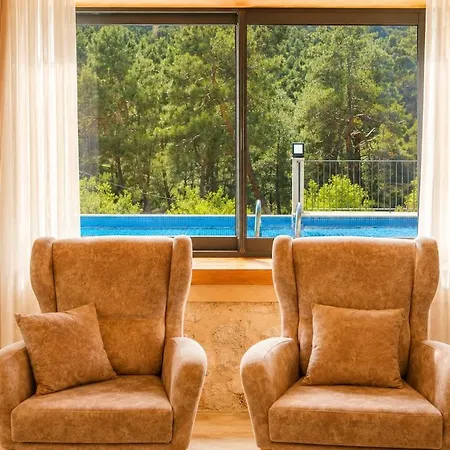 Villa Han Villa