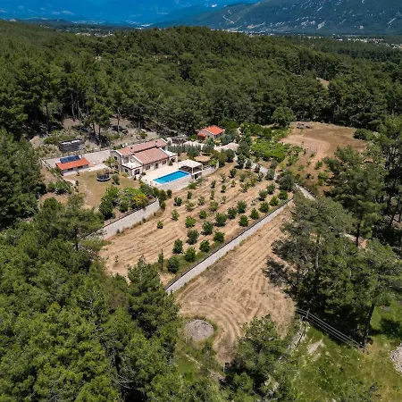 Villa Han Villa