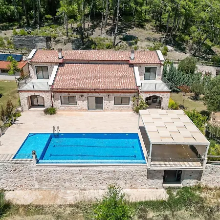 Villa Han Villa